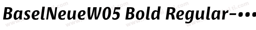 BaselNeueW05 Bold Regular字体转换